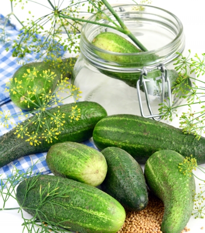 Borítókép: Vizes uborka – a szomszéd néni receptje